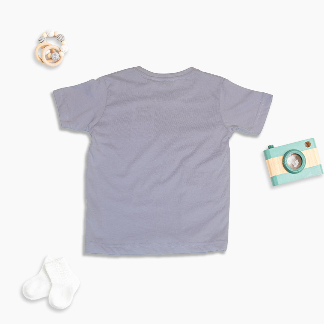 Boys Ice Blue Printed Crew Neck T-Shirt