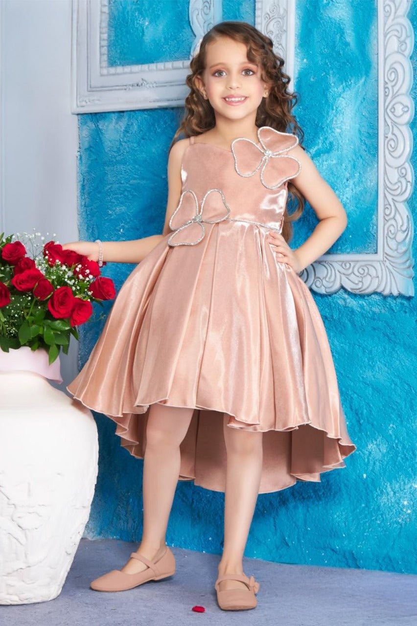 Peach Floral Embellished Frock for Kids